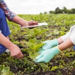 Para 2026, o setor deve consolidar três grandes frentes tecnológicas: mecanização inteligente, biotecnologia aplicada e plataformas digitais integradas. Modernização e conectividade tornam o agro mais eficiente, inclusivo e sustentável. (Foto: Freepik / divulgação)