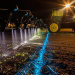 Soja segue como protagonista do agro; milho é favorito na produção de etanol e cana de açúcar para a produção de açúcar. (Divulgação)