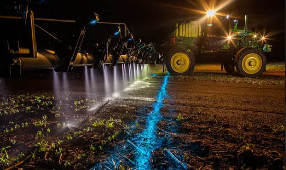 Soja segue como protagonista do agro; milho é favorito na produção de etanol e cana de açúcar para a produção de açúcar. (Divulgação)