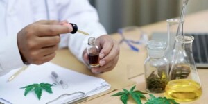 Programa de Análise de Resíduos de Agrotóxicos em Alimentos (PARA) apresenta o menor percentual de amostras insatisfatórias desde 2017. (Reprodução CMS Científica)