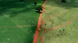 Imagem de drone mostra diferenças de pastagem entre Tifton 85, mais resistente e robusto, e o capim braquiária, mesmo sem irrigação. Inovação é caminho para amenizar efeitos negativos da estiagem nos campos. (Foto: WhatsApp-Image-2025-12-04 / divulgação)