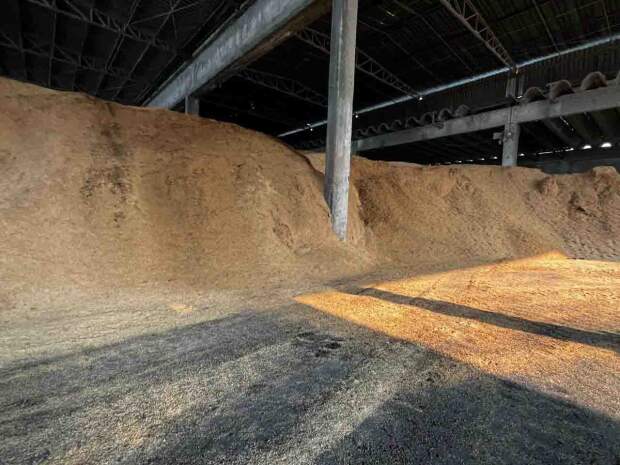 Coprocessamento de resíduos, como casca de arroz, oferece mais opções à indústria para substituir combustíveis fósseis e evita emissão de toneladas de CO² na atmosfera diariamente. (Divulgação)