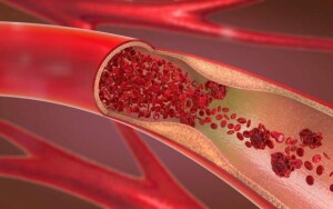 (Corrente Sanguinea / Crédito: Christoph Burgstedt/Shutterstock)