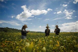 Após quase uma década marcada por dificuldades na implantação da safra, a temporada 25/26 se destaca pela normalidade, com área em expansão e condições climáticas favoráveis, o que cria as bases para uma produção estimada em 182,2 milhões de toneladas, segundo prévia do Rally. (Eduardo Monteiro/Rally da Safra)