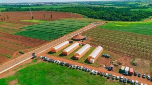 Iniciativa da Agronelli, em parceria com a Uniube, reforça a integração entre ciência e agronegócio e amplia a geração de conhecimento aplicado ao campo. (Divulgação Agronelli)