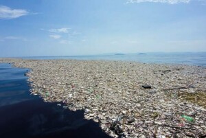 “Diferente de outros materiais, o plástico não se biodegrada. Ele apenas se fragmenta em pedaços cada vez menores que permanecem no ambiente por décadas”, explica a especialista, ressaltando que o perigo pode ser ainda maior quando os resíduos se tornam um vetor para outros itens tóxicos. (Divulgação)