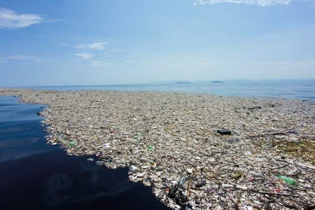 “Diferente de outros materiais, o plástico não se biodegrada. Ele apenas se fragmenta em pedaços cada vez menores que permanecem no ambiente por décadas”, explica a especialista, ressaltando que o perigo pode ser ainda maior quando os resíduos se tornam um vetor para outros itens tóxicos. (Divulgação)
