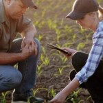 Com o agronegócio representando mais de 25% do PIB brasileiro, cresce também a complexidade das operações de instrumentos como CPRs, barter, hedge e estruturas ligadas à exportação. Mercado busca ainda operadores de pulverização, técnicos agrícolas, engenheiros agrônomos, gerentes de fazendas e produtores rurais. (Divulgação)