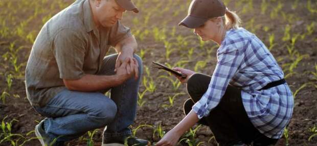 Com o agronegócio representando mais de 25% do PIB brasileiro, cresce também a complexidade das operações de instrumentos como CPRs, barter, hedge e estruturas ligadas à exportação. Mercado busca ainda operadores de pulverização, técnicos agrícolas, engenheiros agrônomos, gerentes de fazendas e produtores rurais. (Divulgação)