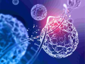 Análise inédita publicada na Nature Medicine mostra que 7 milhões de diagnósticos em 2022 estavam ligados a fatores preveníveis; tabagismo lidera ranking de riscos, seguido por infecções e álcool. (Foto: Freepik)