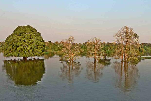 Foto: Felipe Rosa  / Amazônia