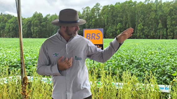 Nesta edição, participam 20 empresas, com a avaliação de 53 cultivares. O resultado será divulgado no dia 30 de abril. (Foto: Juliana Caldas)