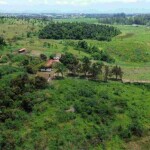 Procedimento preparatório de inquérito civil foi aberto a pedido da deputada estadual Beth Sahão (PT-SP), após área de 350 hectares, em Pindamonhangaba, interior de São Paulo, ter sido vendida, em 2024. (Fazenda de pesquisa em Pindamonhangaba / APqC/Divulgação)