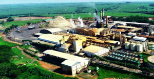 Colombo Agroindústria tem mais de 85 anos de atuação e é um dos principais nomes do setor sucroenergético brasileiro. O grupo opera três unidades industriais estrategicamente localizadas no interior de São Paulo – em Ariranha (matriz), Palestina e Santa Albertina. (Divulgação)