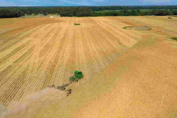 Especialista alerta, porém, que o mercado é exigente e que, para melhor remunerar, é preciso conhecimento, planejamento estratégico e a entrega de produtos seja eficiente e de qualidade. (Divulgação)