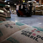 Nova revisão após visitas de campo indica alta de 20,8% frente à temporada anterior e recorde histórico para o arábica, com 50,2 milhões de sacas. (Reprodução)