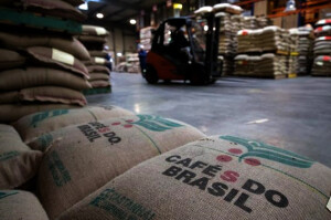 Nova revisão após visitas de campo indica alta de 20,8% frente à temporada anterior e recorde histórico para o arábica, com 50,2 milhões de sacas. (Reprodução)