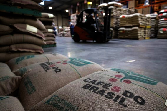 Nova revisão após visitas de campo indica alta de 20,8% frente à temporada anterior e recorde histórico para o arábica, com 50,2 milhões de sacas. (Reprodução)