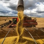 Volumes elevados favorecem o enchimento de grãos, porém excesso de umidade no solo compromete operações no campo e logística de escoamento da produção. (Imagem: CNA/Wenderson Araujo/Trilux).