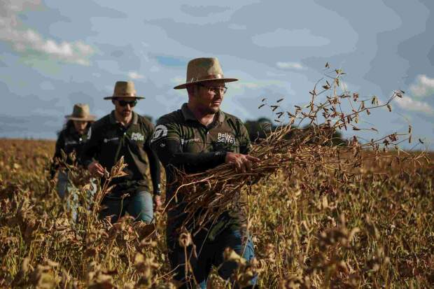 Onze estados e o Distrito Federal foram percorridos até o momento, com as perdas de produção no Rio Grande do Sul compensadas principalmente pelos resultados do Mato Grosso e Paraná. (Crédito: Eduardo Monteiro/Rally da Safra)