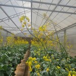 Foto Agnaldo Chaves 01