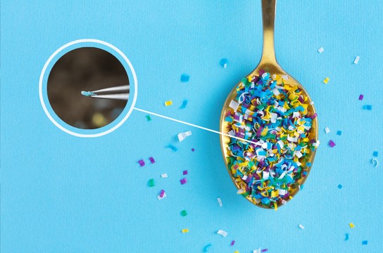 Evento, financiado pela Fapesp, acontece na Unicamp em setembro. (Imagem: Divulgação)