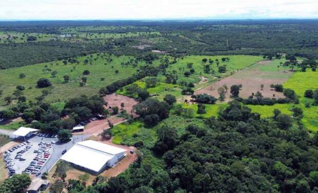 A iniciativa integra pesquisa, assistência técnica e formação, para desenvolver e levar tecnologias diretamente aos produtores rurais, impulsionando produtividade, sustentabilidade e geração de renda. ( Foto: Gustavo Araújo / Divulgação)