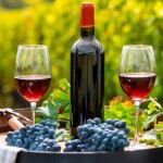 Relatório aponta avanço impulsionado por produtos de maior valor agregado e destaca papel dos espumantes na expansão do setor. Cenário e perspectivas até 2027 serão debatidos na Wine South America. (Pesquisa Internet /Reprodução)