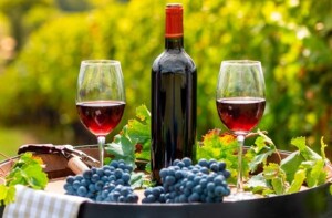 Relatório aponta avanço impulsionado por produtos de maior valor agregado e destaca papel dos espumantes na expansão do setor. Cenário e perspectivas até 2027 serão debatidos na Wine South America. (Pesquisa Internet /Reprodução)