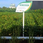 A programação reuniu especialistas, produtores e lideranças do setor para discutir tendências e tecnologias que devem impactar diretamente o futuro da produção agrícola no Brasil. (Divulgação)