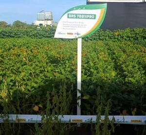 A programação reuniu especialistas, produtores e lideranças do setor para discutir tendências e tecnologias que devem impactar diretamente o futuro da produção agrícola no Brasil. (Divulgação)
