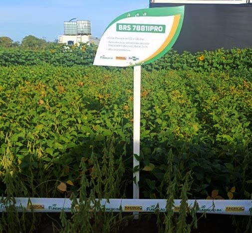 A programação reuniu especialistas, produtores e lideranças do setor para discutir tendências e tecnologias que devem impactar diretamente o futuro da produção agrícola no Brasil. (Divulgação)