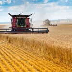 Segundo especialista, cuidados na manutenção e lubrificação das máquinas agrícolas são essenciais para manter o desempenho e a produtividade no campo. (Adobe Stock)