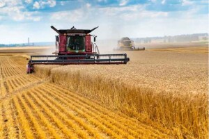 Segundo especialista, cuidados na manutenção e lubrificação das máquinas agrícolas são essenciais para manter o desempenho e a produtividade no campo. (Adobe Stock)