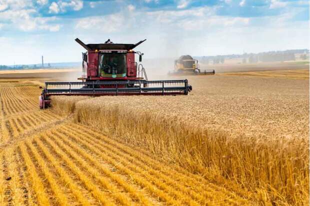 Segundo especialista, cuidados na manutenção e lubrificação das máquinas agrícolas são essenciais para manter o desempenho e a produtividade no campo. (Adobe Stock)