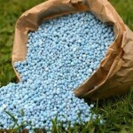 agrícolas. Para apoiá-los, o Instituto Agronômico (IAC), de Campinas, divulga três ações essenciais para melhor direcionar os investimentos e manter a produtividade. (Divulgação)