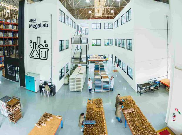 IBRA megalab teve acesso a 150 mil amostras de solo dos EUA e fez viagens de campo a fazendas norte-americanas para adaptar a experiência brasileira ao mercado internacional. (Foto: IBRA megalab).