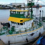 Na prática, a medida adiciona mais uma camada de burocracia a um processo que já era regulamentado e amplamente cumprido pelos produtores. (Relacionada / reprodução Agrimídia