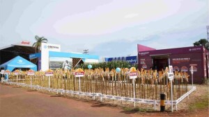 Visitantes poderão conhecer inovações da COMIGO, de empresas expositoras e de startups voltadas ao agronegócio. (Divulgação Tecnoshow)