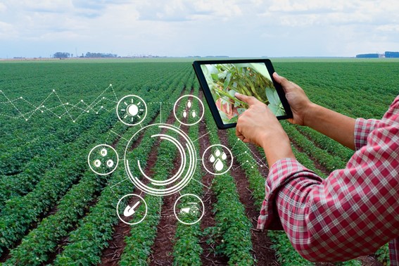 Solução da i4sea, já aplicadas no Porto de Santos e no Porto de Açu, está sendo levada para o campo; agropecuária é uma das atividades econômicas mais afetadas pelas mudanças do clima, adverte a Embrapa. (Reprodução Internet)