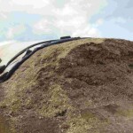 Chegada da estiagem torna insumo indispensável devido à escassez de forragens e ao manejo das áreas de pasto, que podem afetar o potencial produtivo do rebanho. (Divulgação Connan)