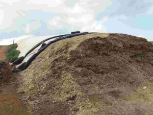 Chegada da estiagem torna insumo indispensável devido à escassez de forragens e ao manejo das áreas de pasto, que podem afetar o potencial produtivo do rebanho. (Divulgação Connan)