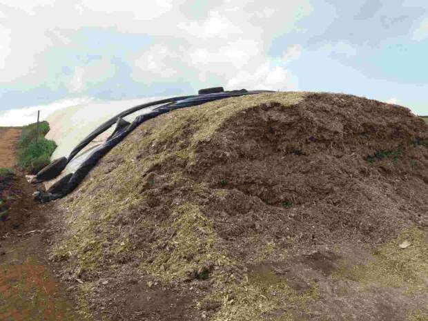 Chegada da estiagem torna insumo indispensável devido à escassez de forragens e ao manejo das áreas de pasto, que podem afetar o potencial produtivo do rebanho. (Divulgação Connan)