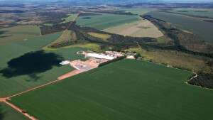 Empresa familiar que nasceu em Formosa (GO) e se consolidou no Cerrado avança em boas práticas, amplia áreas certificadas e transforma gestão com foco em ESG. (Divulgação)