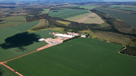 Empresa familiar que nasceu em Formosa (GO) e se consolidou no Cerrado avança em boas práticas, amplia áreas certificadas e transforma gestão com foco em ESG. (Divulgação)