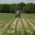 Dependência das chuvas em abril e maio aumenta, enquanto alta do petróleo e da soja contribui para recuperação recente das cotações. (imagem: milho-safrinha / divulgação Ihara)