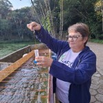Pesquisa realizada por estudantes e professores da UFSC aponta que é possível recuperar áreas degradadas usando soluções da própria natureza. (Foto: Divulgação)