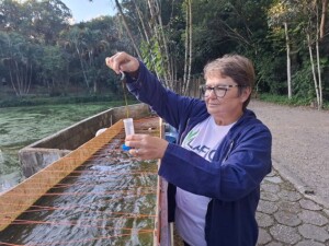 Pesquisa realizada por estudantes e professores da UFSC aponta que é possível recuperar áreas degradadas usando soluções da própria natureza. (Foto: Divulgação)