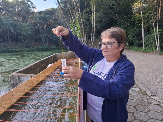 Pesquisa realizada por estudantes e professores da UFSC aponta que é possível recuperar áreas degradadas usando soluções da própria natureza. (Foto: Divulgação)