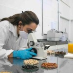 O estudo avaliou 26 disciplinas científicas de mais de 70 países, englobando 26 áreas de atuação da ciência. (Imagem: pesquisa Embrapa / reprodução)